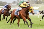 Danger Close Featured in Christmas Stakes Nominations