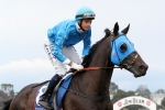 Sadler Bullish About Lonrockstar In All Victorian Sprint Series Final