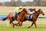 Leveraction Capable of Staying Success at Flemington