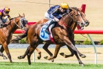 Bass Strait To Toorak Handicap After Caulfield Victory Bass Strait To Toorak Handicap After Caulfield Victory