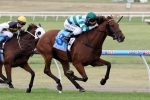 Carey Happy With Angola Ahead Of Ipswich Cup Carey Happy With Angola Ahead Of Ipswich Cup
