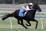 Dany The Fox To Carlyon Cup Following Chester Manifold Stakes Dany The Fox To Carlyon Cup Following Chester Manifold Stakes