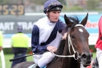 Hobart Cup the Target for Warrior Of Fire
