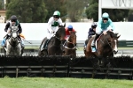 Payne Pleased With Fieldmaster Heading Into The Australian Hurdle Payne Pleased With Fieldmaster Heading Into The Australian Hurdle