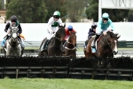 Payne Pleased With Fieldmaster Heading Into The Australian Hurdle