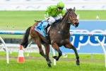 Griante To Make Black Type Debut In Gai Waterhouse Classic Griante To Make Black Type Debut In Gai Waterhouse Classic