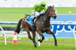 Griante To Make Black Type Debut In Gai Waterhouse Classic