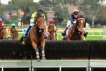 Bashboy To Face Four Rivals In Grand National Steeplechase