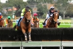 Bashboy To Face Four Rivals In Grand National Steeplechase Bashboy To Face Four Rivals In Grand National Steeplechase