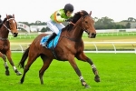 Bashboy Returns With Thackeray Steeplechase Victory