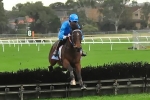 Black And Bent wins second Grand National Hurdle Black And Bent wins second Grand National Hurdle