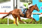 High Aims to wait for the 2400m Caloundra Cup