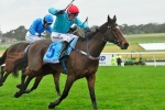 Stand To Gain Records Brave Galleywood Hurdle Victory Stand To Gain Records Brave Galleywood Hurdle Victory