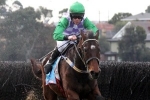 Wells Denies Bashboy Historic Grand National Steeplechase Win