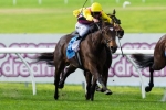 Blackiston Delighted With Let’s Make Adeal Ahead Of Centaurea Stakes Blackiston Delighted With Let’s Make Adeal Ahead Of Centaurea Stakes