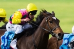Let’s Make Adeal draws midfield in Naturalism Stakes Let’s Make Adeal draws midfield in Naturalism Stakes