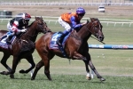 Corstens Happy With Chester Manifold Stakes Duo Corstens Happy With Chester Manifold Stakes Duo