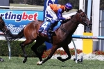 Parnham to ride Smokin’ Joey in Australia Stakes
