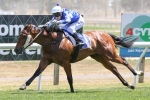 Claro El Banco To Improve In Magic Millions Classic