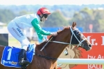 2015 Ballarat Cup Results: Junoob Back To His Best