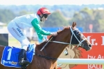 2015 Ballarat Cup Results: Junoob Back To His Best 2015 Ballarat Cup Results: Junoob Back To His Best