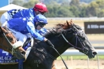 Murt The Flirt On Top Of Wyong Magic Millions Stakes Field Murt The Flirt On Top Of Wyong Magic Millions Stakes Field
