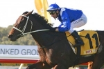 Winx jumps to top of Epsom betting