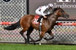 Sunlight cleans up her rivals in 2019 William Reid Stakes, now for the T J Smith