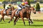 The 2020 Everest is a Spring option for Tofane