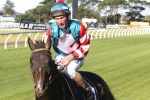 Exquisite Jewel Ready For Australian Debut In The Roses Exquisite Jewel Ready For Australian Debut In The Roses