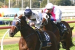 Typing to kick off Magic Millions campaign in Mode Plate Typing to kick off Magic Millions campaign in Mode Plate