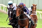 Payne Happy With Grand Annual Duo Payne Happy With Grand Annual Duo