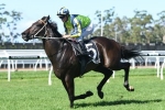 Lees in no hurry to test Dal Cielo in tougher company Lees in no hurry to test Dal Cielo in tougher company