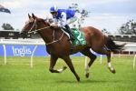 Noble Boy to be tested over 1600m in The Gong