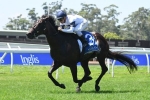 Melham Playing The Weighting Game For She Will Reign Oakleigh Plate Ride