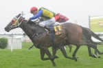 Alma’s Fury To Have First Start For Gollan In QTC Cup Alma’s Fury To Have First Start For Gollan In QTC Cup