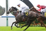 Always allison included in Magic Night Stakes nominations Always allison included in Magic Night Stakes nominations