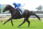 Exosphere retired to stand at Darley Stud