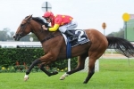 First Seal back on track for Tramway Stakes return