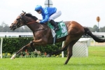 It’s Somewhat Not As Forward For 2015 Warwick Stakes It’s Somewhat Not As Forward For 2015 Warwick Stakes