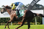 Press Report Worthy Of Place In 2015 T.J. Smith Stakes Press Report Worthy Of Place In 2015 T.J. Smith Stakes