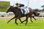 Alpha Miss Has The Right Golden Slipper Form