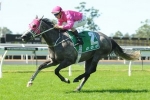 Wiggle Stakes To Be Named In Honor Of Guy Walter Wiggle Stakes To Be Named In Honor Of Guy Walter