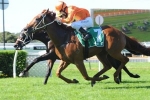 Terravista To Be Ridden Quieter In George Ryder Stakes Field Terravista To Be Ridden Quieter In George Ryder Stakes Field