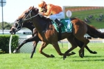 Terravista To Be Ridden Quieter In George Ryder Stakes Field