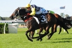 Thump unlikely leader in William Reid Stakes