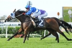 Dear Demi has history in her favour in Coolmore Classic