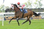 McNair Thrilled With Hay List’s First-Up Effort McNair Thrilled With Hay List’s First-Up Effort