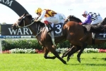 Shoot Out Heads Epsom Handicap weights