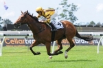 Pride Stars A Chance For All Aged Stakes